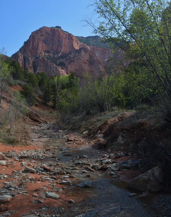 Along the Middle Fork of the Taylor Creek Trail